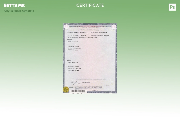 Модерен стил, шаблон за државен сертификат за брак на Флорида на САД во шаблон P